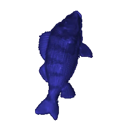 blue_sea_bream