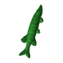 green_carp