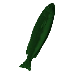 green_fish