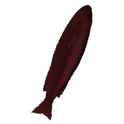 red_fish