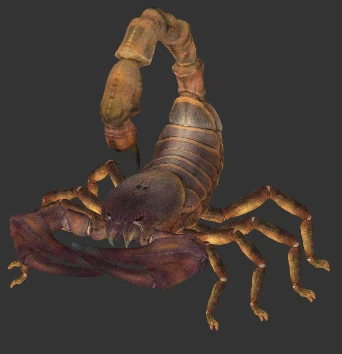 scorpion